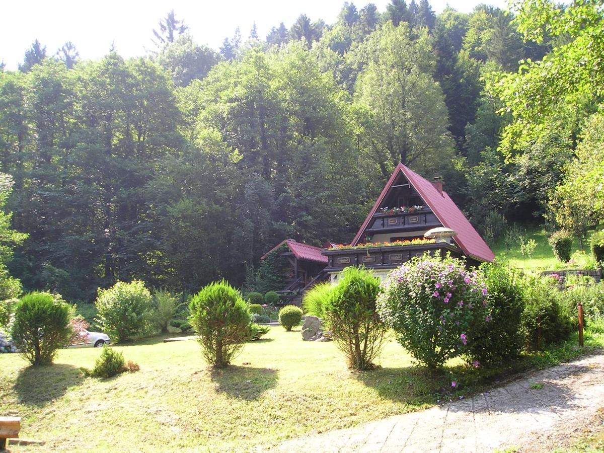 Willa Holiday house with a parking space Gusti Laz, Gorski kotar - 17993 Delnice Zewnętrze zdjęcie